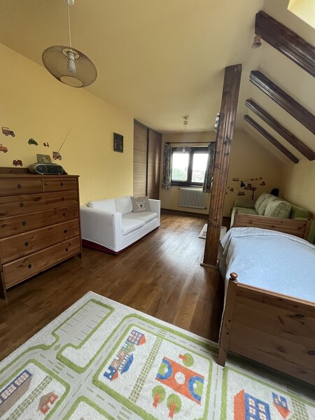 Mogosoaia, M. Bibescu, rustic/cochet, 4 dormitoare, living-semineu,