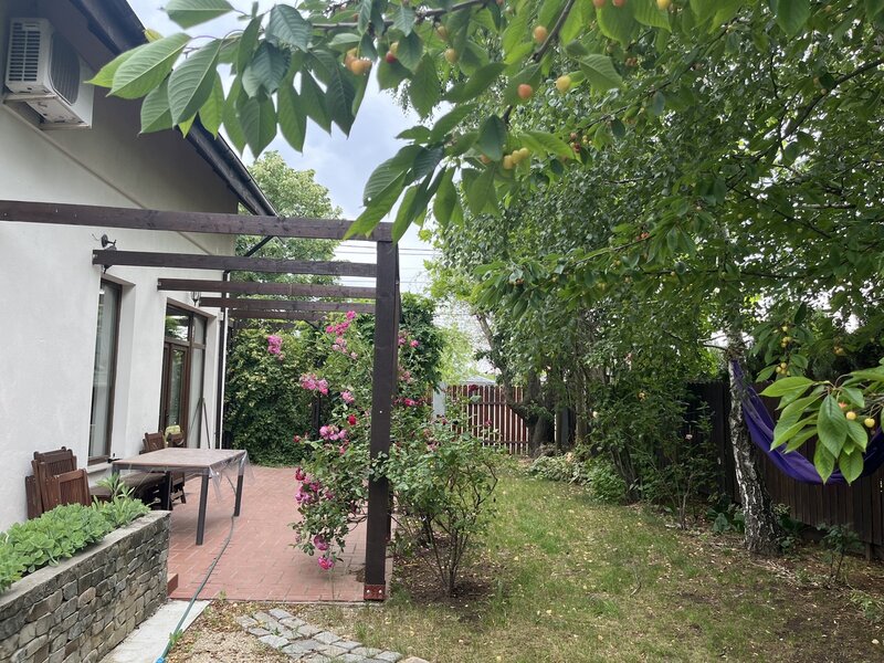 Mogosoaia, M. Bibescu, rustic/cochet, 4 dormitoare, living-semineu,